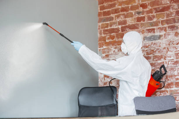 Professional Mold Removal in East Tawas, MI