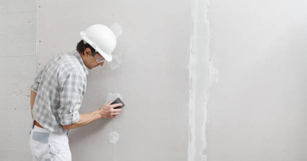 Best Mold Remediation for Healthcare Facilities  in East Tawas, MI