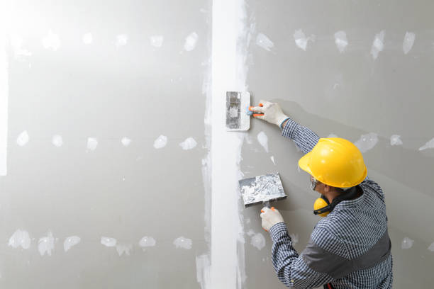 Best Basement Mold Removal  in East Tawas, MI