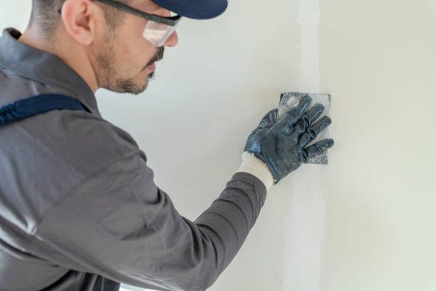 Best Basement Mold Removal  in East Tawas, MI