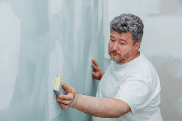 Dehumidification Services in East Tawas, MI