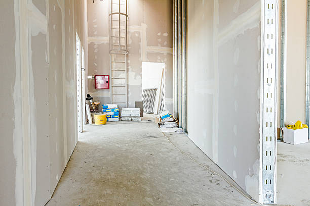 East Tawas, MI Mold Removal Company