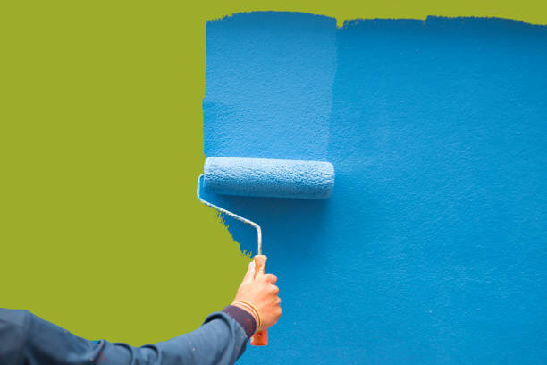 Best Black Mold Removal  in East Tawas, MI